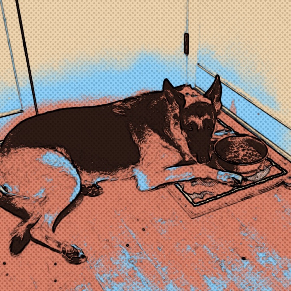 Meet your Posher, Morgan